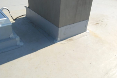 IMG-20210619-WA0003
