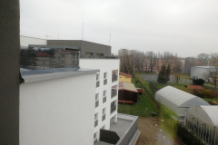 IMG_20201126_100929